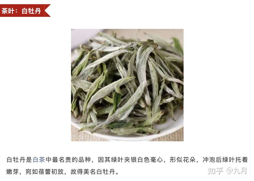 白牡丹 白茶 知乎