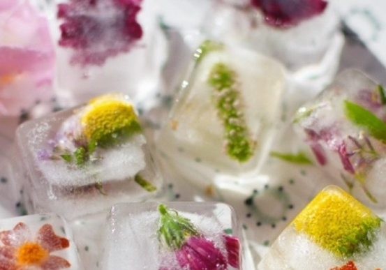 月花说 鲜花永久保存的5种方法 知乎