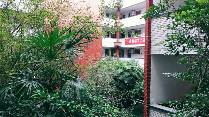 在重庆市云阳中学就读是怎样一番体验?