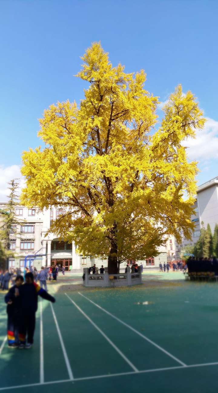 北京二十五中学怎么样? - 知乎