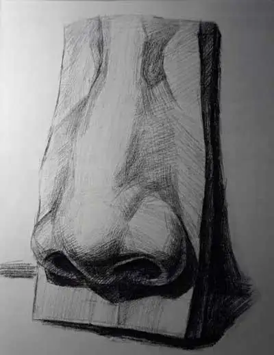 新人福利:石膏鼻子教程