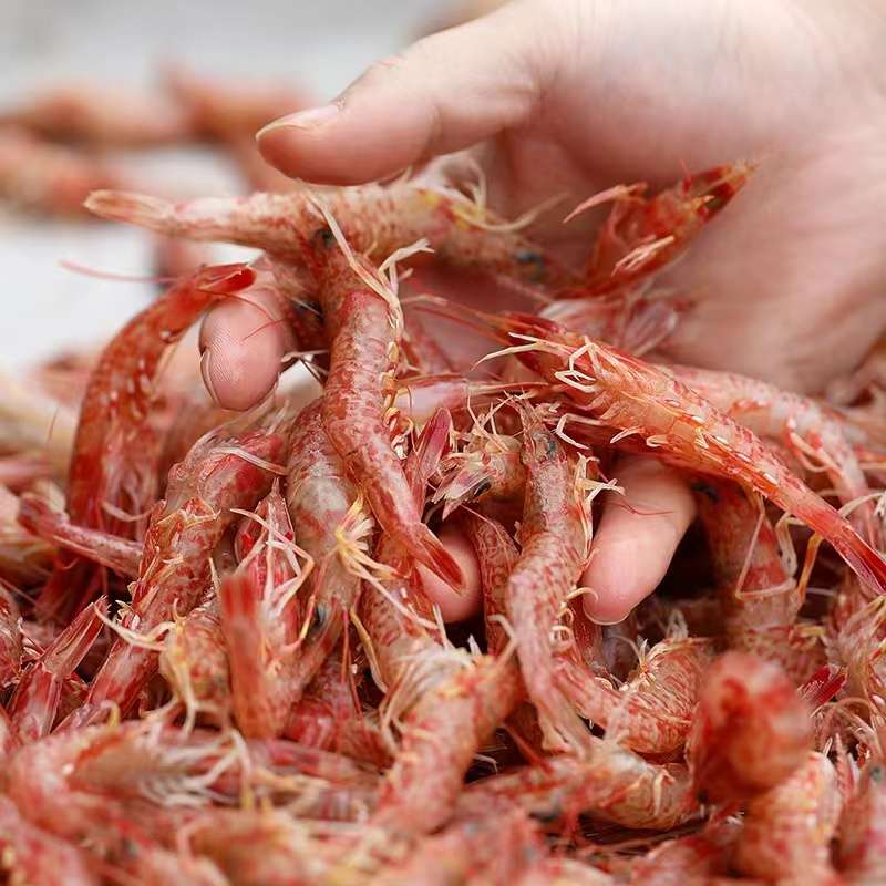 super周周周 的想法: 野生樱花虾～ | 樱花虾自小的成长环境就