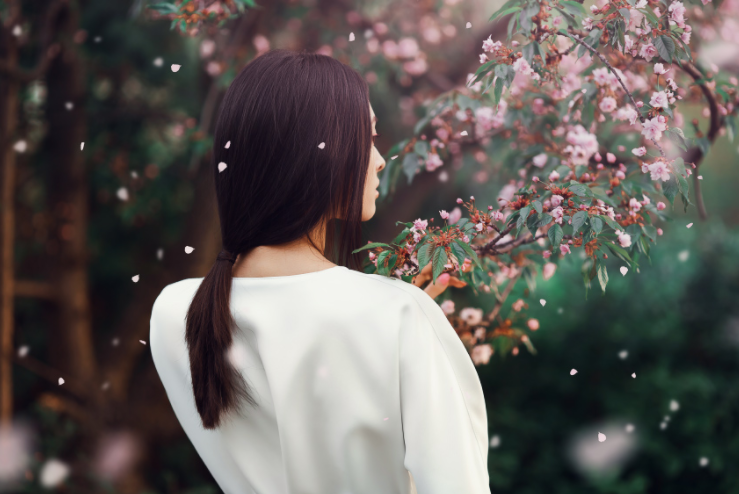 如何在photoshop中创建樱花花瓣画笔 知乎