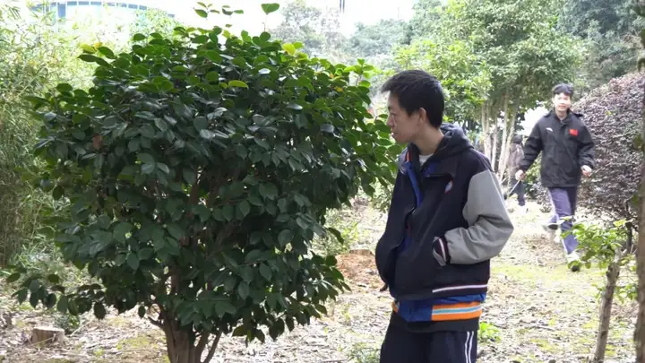 与蛇俱进 不“福”不行|富阳校区开展 “集五福・迎蛇年” 喜迎元旦活动(图6) 与蛇俱进 不“福”不行|富阳校区开展 “集五福・迎蛇年” 喜迎元旦活动(图6)