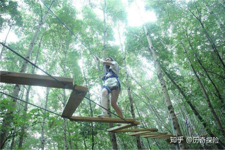 历奇探险丛林飞跃 那些你很冒险的梦 知乎