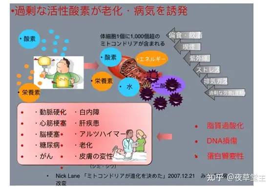 日本白雪茸横空出世，宣传十大功效是否合理- 知乎