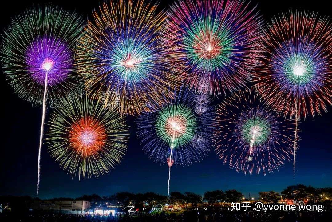 共赴一场盛夏的花火 知乎 共赴一场盛夏的花火 知乎