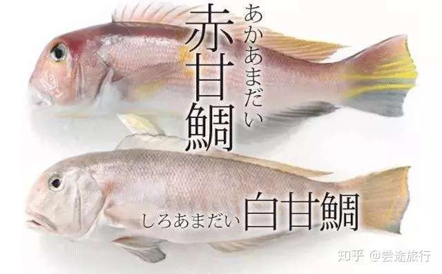 德村家康的至爱 关西美食界的网红 日本甘鲷竟然就是马头鱼 知乎