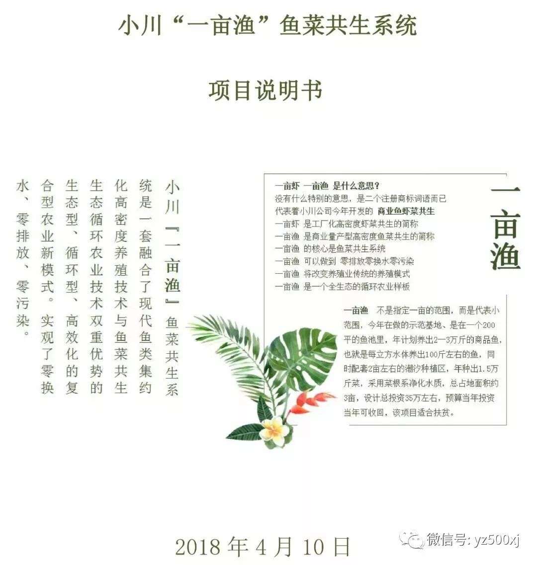 小川 一亩渔 鱼菜共生可行性说明书 禾花鲤养殖的效益分析 知乎 小川 一亩渔 鱼菜共生可行性说明书 禾花鲤养殖的效益分析 知乎