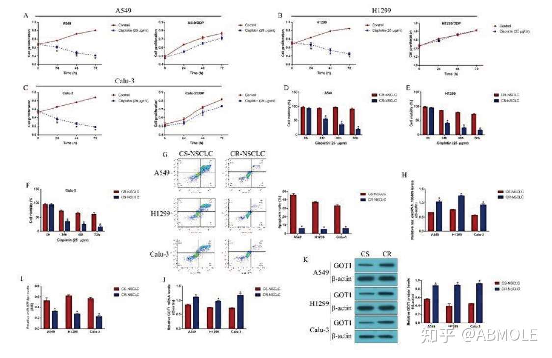 Abmole科研 一种新型环状rna Mir 377 3p Got1通路调控 知乎