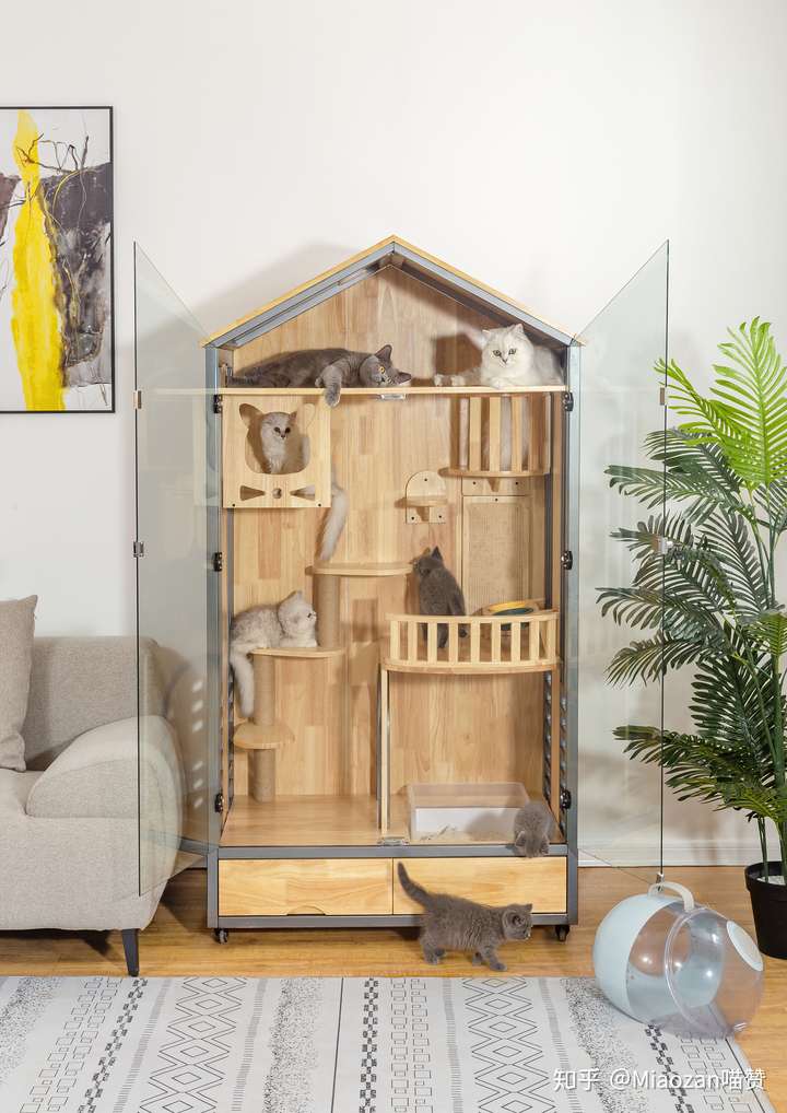 猫咪叫早并且越来越早怎么办