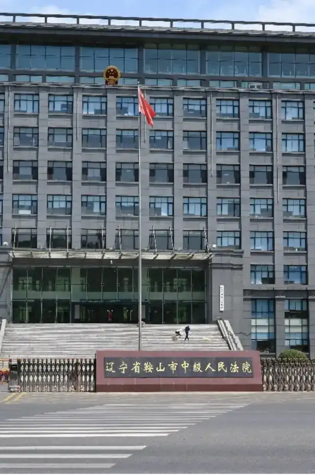 辽宁鞍山政府败诉后欠民企千万:市长亲自指示“先不要返款”(图7)