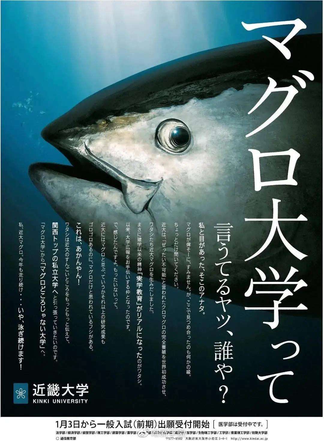 在日本名气不高 却很优质的大学 下 知乎