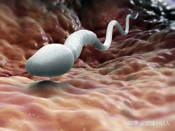 男性精子长期发黄咋回事 知乎