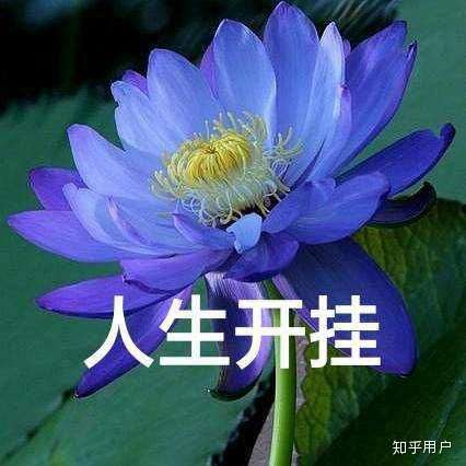 有没有什么可爱的微信头像?