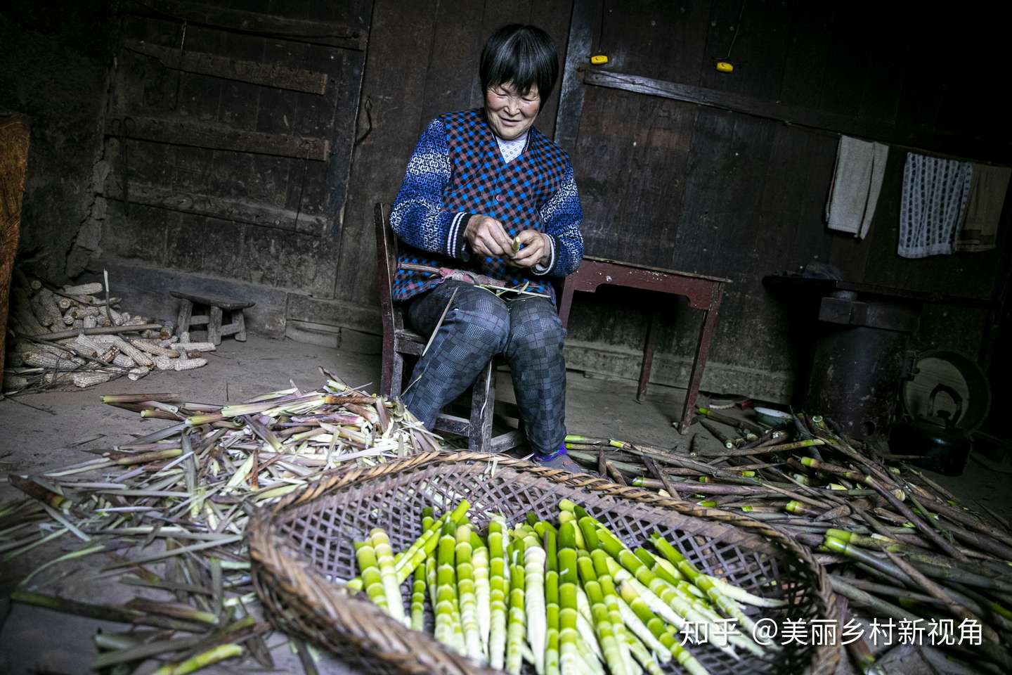 春天来了 又到了吃笋的季节 知乎