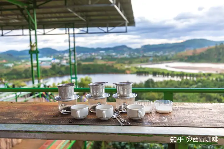 居然可以这样（越南是哪种咖啡的最大产地）越南咖啡产地，越南咖