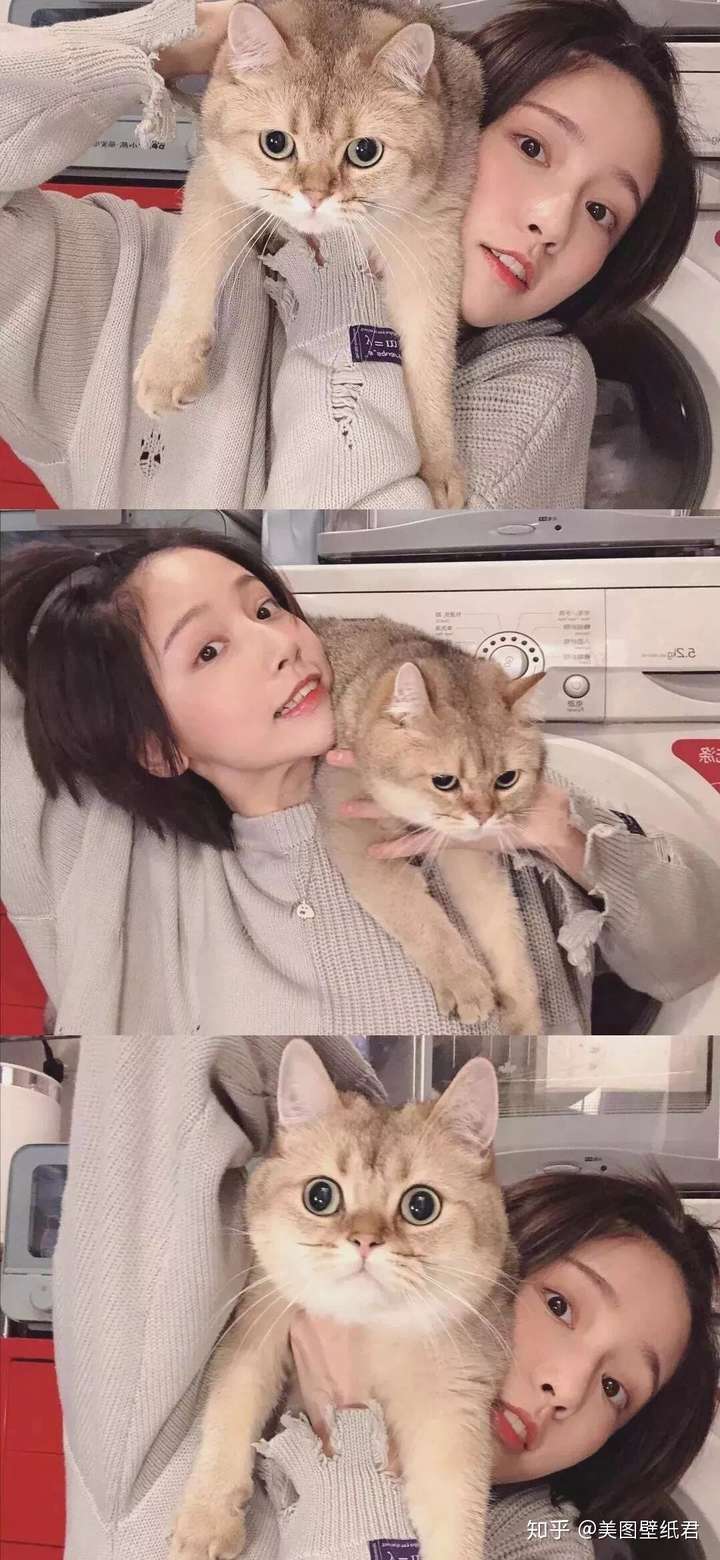 求诸葛大力素质过硬的壁纸?