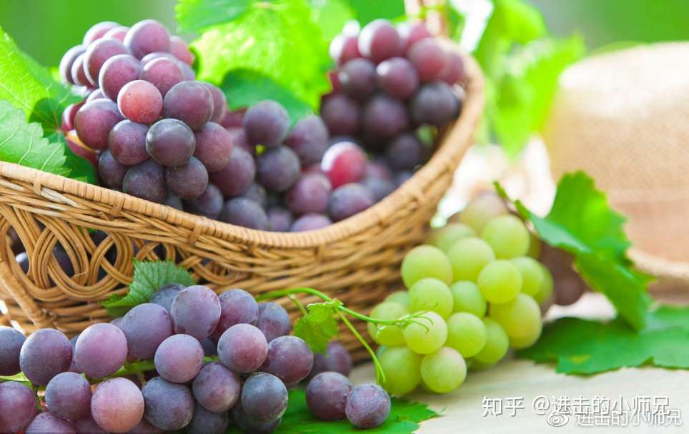 小师兄涨知识 花青素那点事 知乎