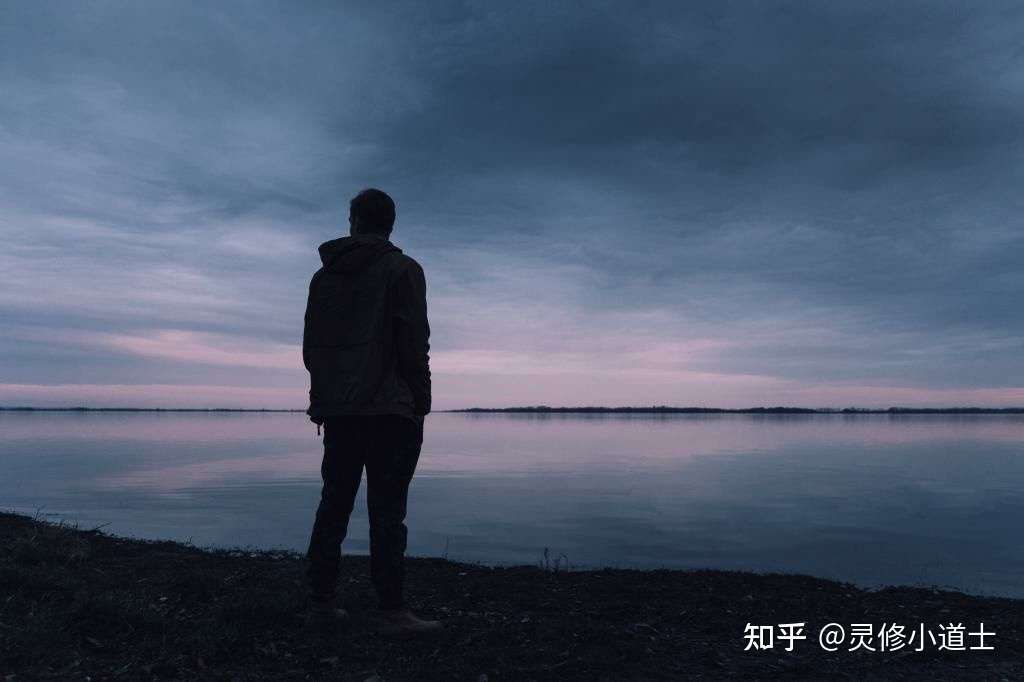 十二生肖之寅虎 知乎