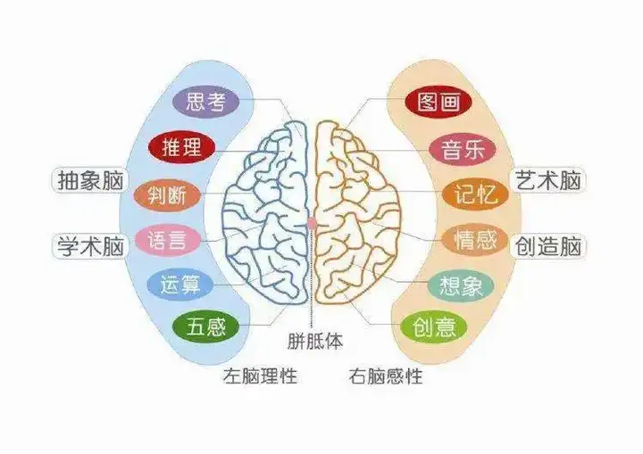 针对6岁前的孩子,通过锻炼观察力,想象力,记忆力的游戏来全面开发大脑