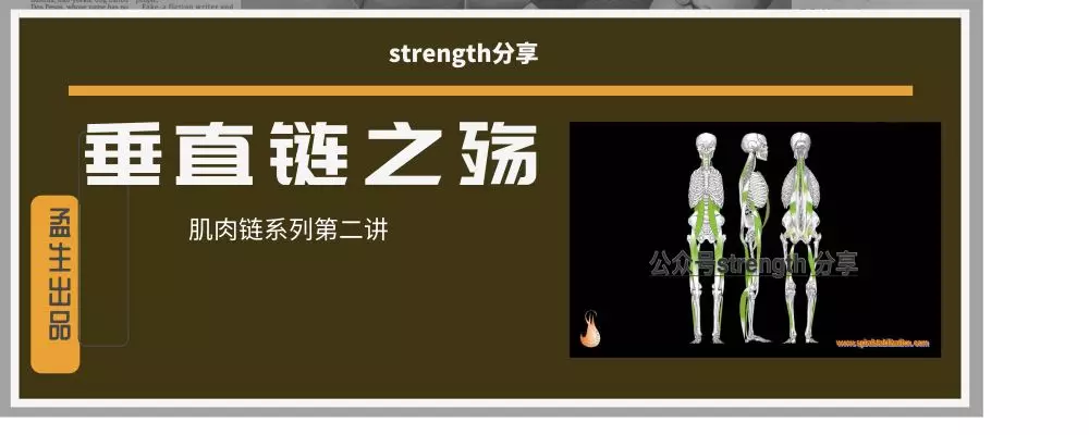 下背疼与腰疼的根源 垂直链之殇 知乎