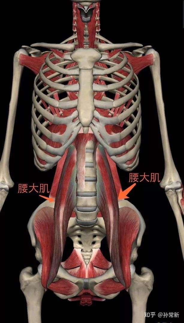 腰肌劳损正确的康复方法是什么