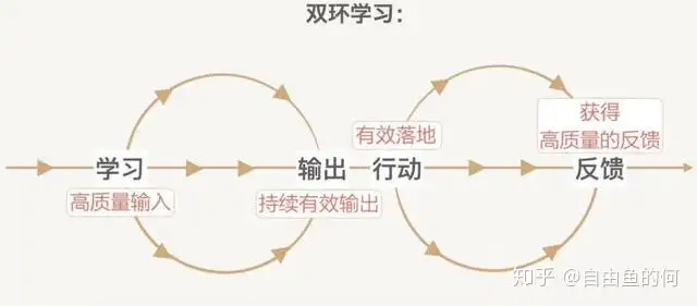 一个高效学习方法，双环学习法