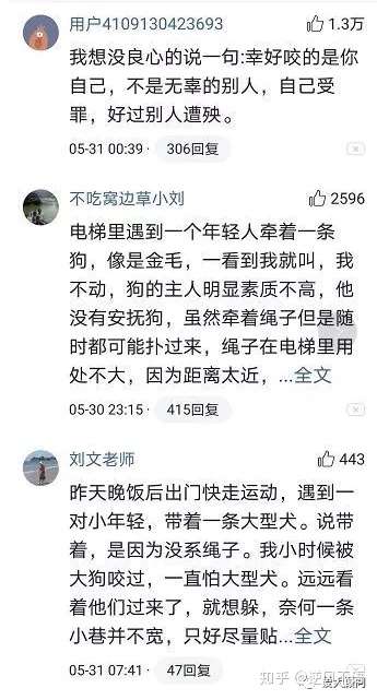 我家狗不咬人 拜托 请不要再说这句话了 知乎