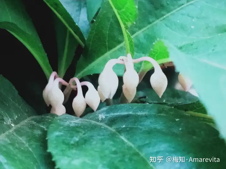 端午节：六月十四日，2021年，365日，一日七话题（6月14号端午节放假）