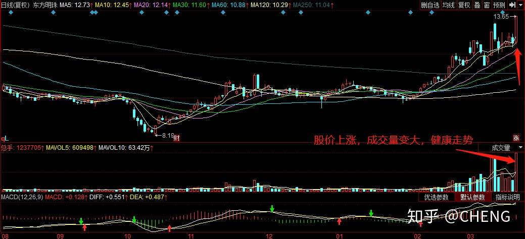 股票投资入门与实战技巧最新版