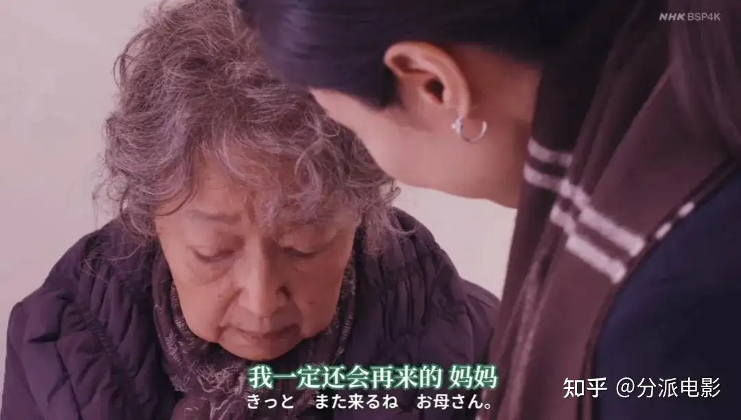 《有母亲等待的故乡》高评分,高口碑,岛国最擅长的题材!