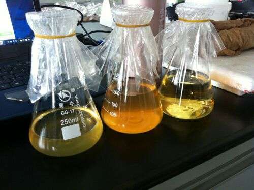 lb培养基尝起来是什么味道?