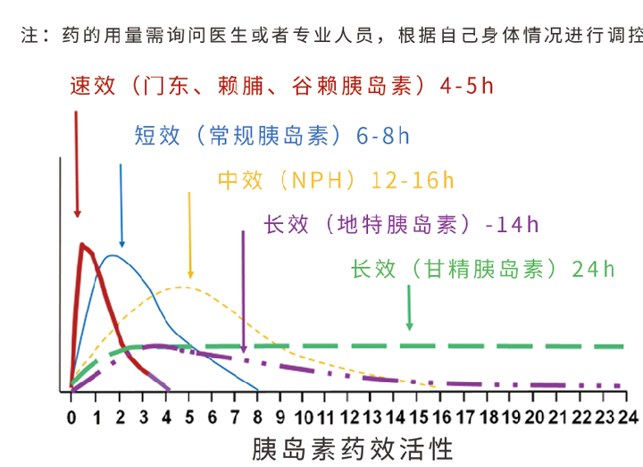 德谷胰岛素起效时间图图片