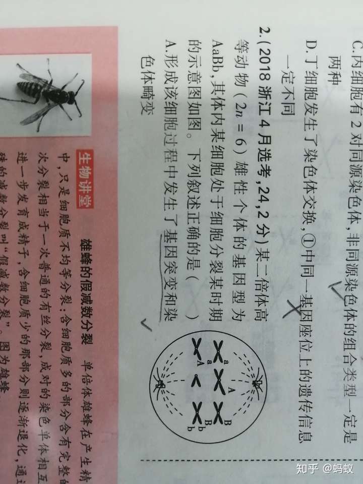 每条染色体的着丝粒都连着两极发出的纺锤丝这句话对吗图二是课本上的