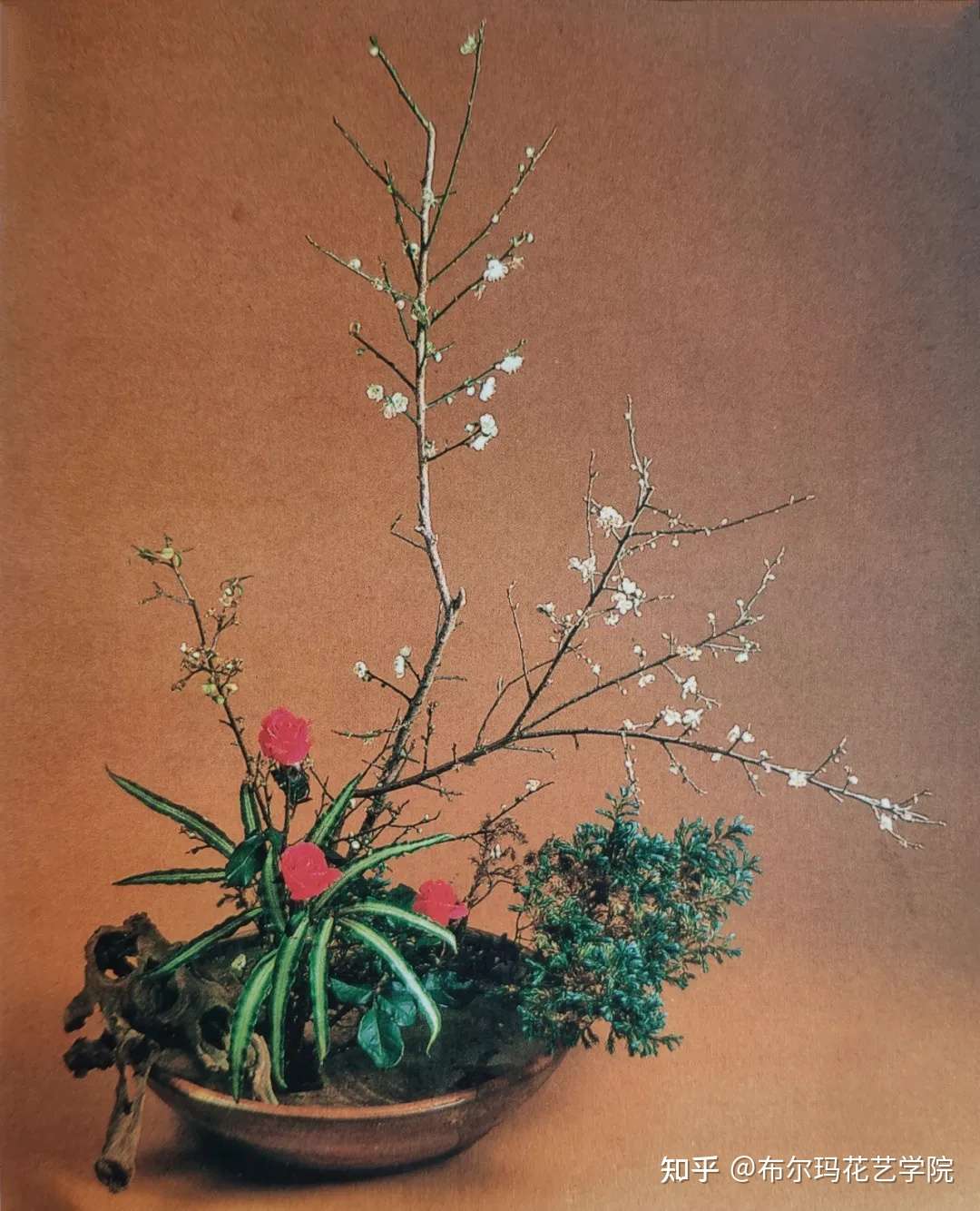 中式插花 虽由人作 宛自天开 知乎