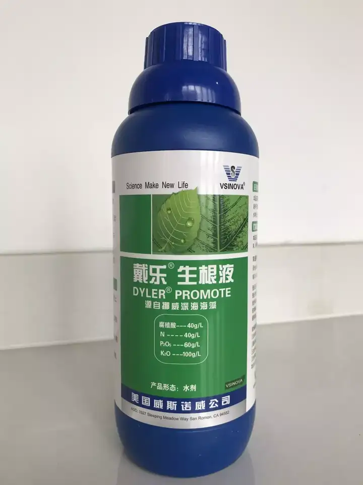 虎皮兰夏季养护技巧，做对了，叶片肥厚挤爆盆！-虎皮兰夏天怎样施肥