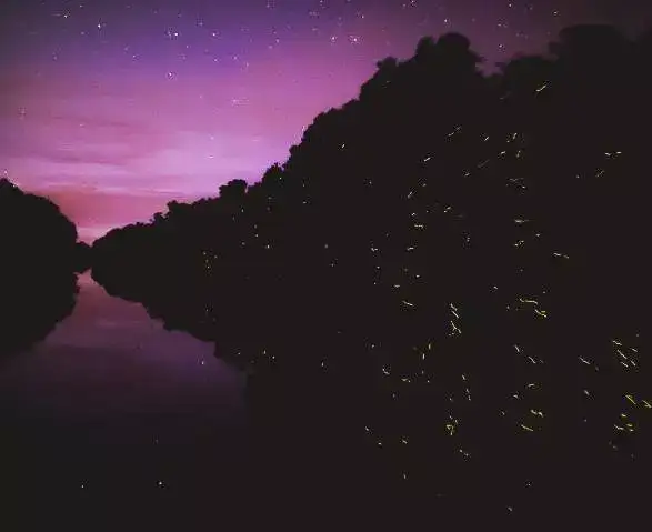 史上最好的沙巴小众旅行攻略，没有之一。