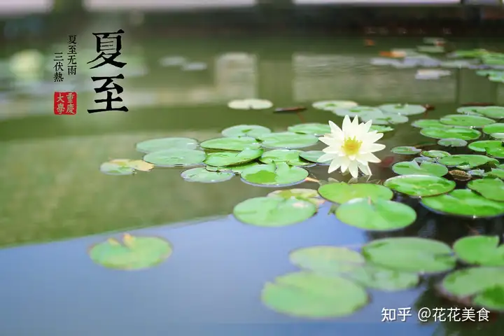 【二十四节气·夏至】日北至，日长之至，日影短至，故曰夏至