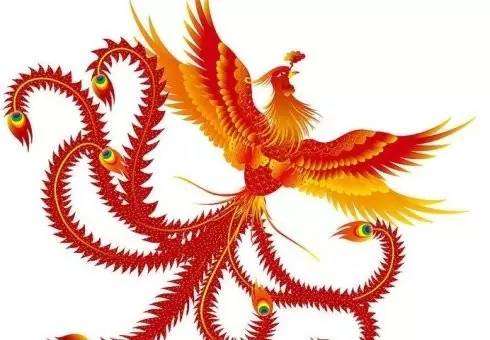 法官之声调研文章言有物凤头猪肚与豹尾