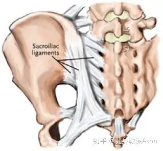 導致關節處骨折,這還可能由於韌帶支撐系統對整個區域的穩定需求增加