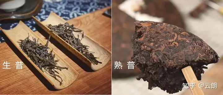 90%的人都不知道，在哪里能买到云南正宗的普洱茶？