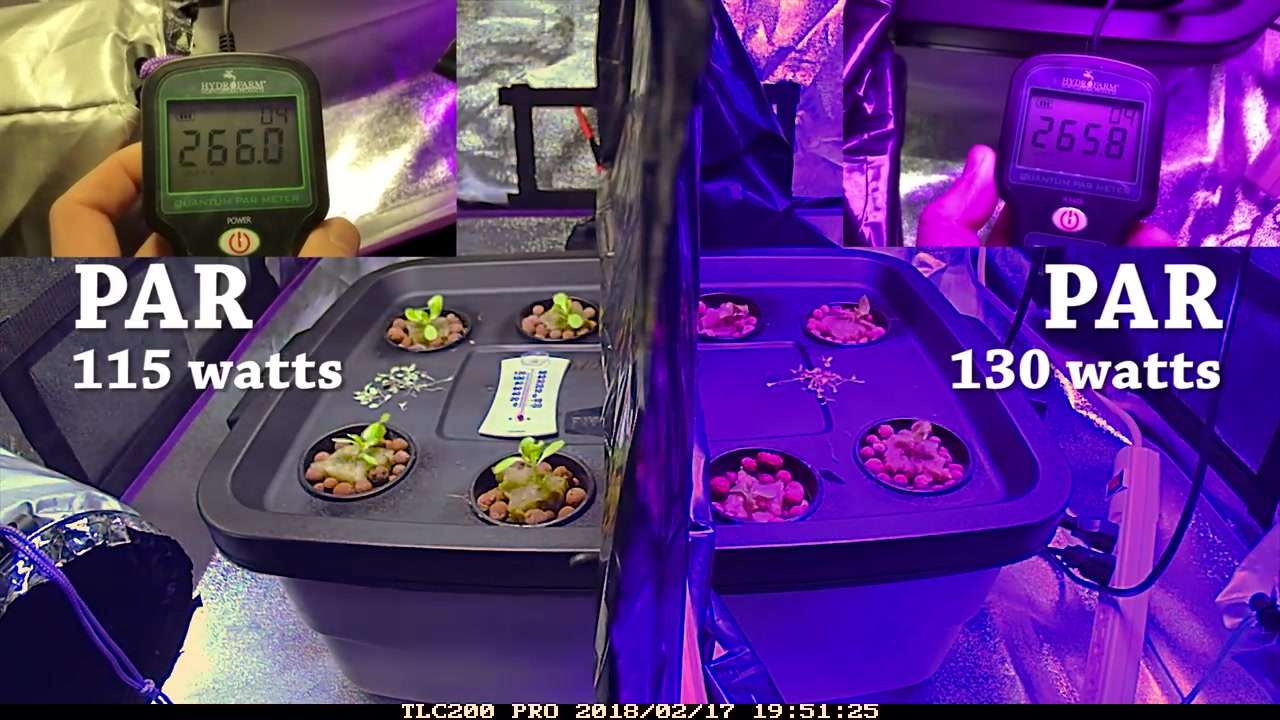 白光led和红蓝led种菜对比 知乎