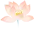 「节气」夏至已至，关于夏至的知识一定要了解！