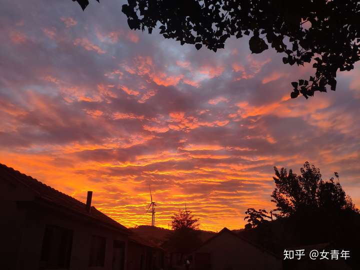 2019 年,你拍得最好的一张照片是什么?它又有什么故事呢?