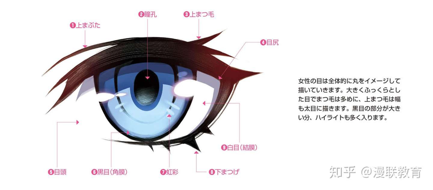 零基础眼睛怎么画 不同日漫画风眼睛画法教程 知乎