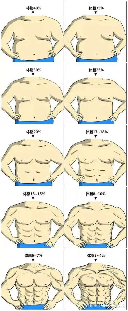 体脂率10%男生图片