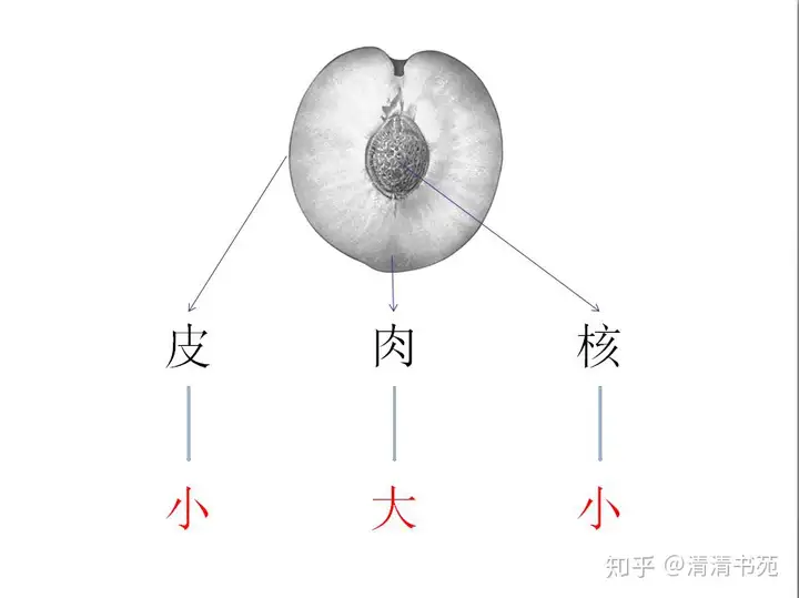 万万没想到（作文写作）网课写作文哪个机构好 第3张