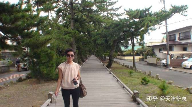 三保松原 御穗神社 日本 知乎