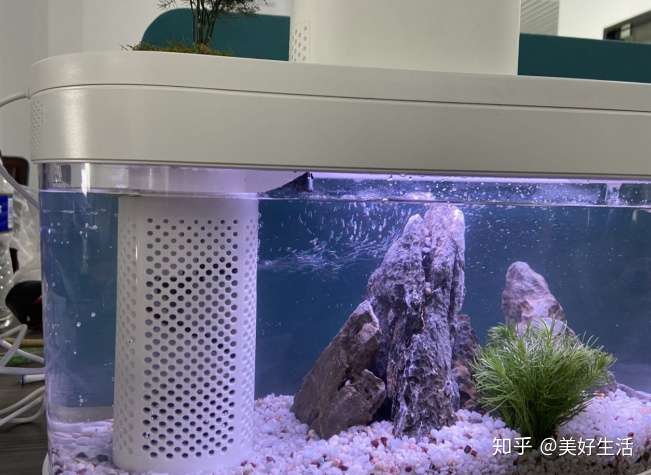 小米画法几何生态鱼缸怎样